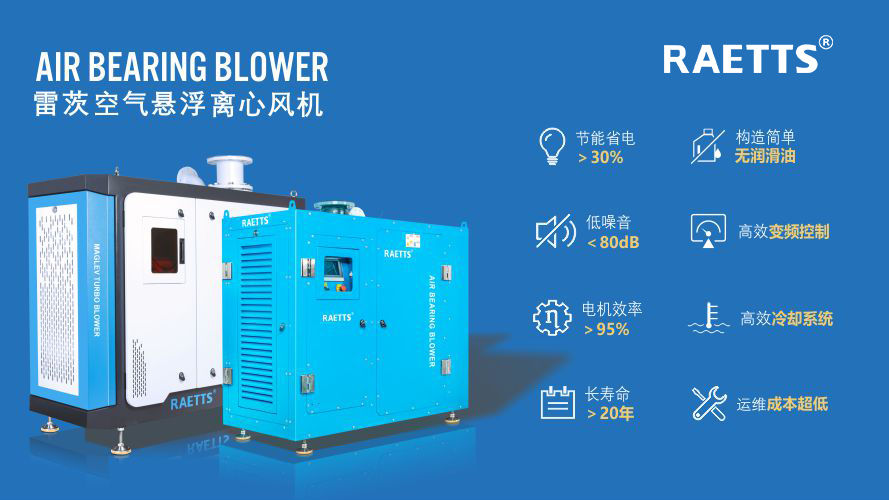 1741826453768523.jpg 11.jpg